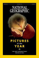 Nat Geo Year Images Nat Geo's Pictures Collection