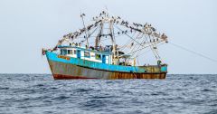 Gulf Panama Upwelling Wind Article Stress