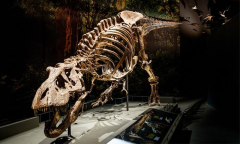 T Rex Ad Ad Free Climate Years Atmosphere