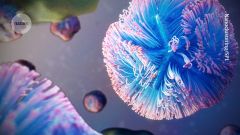 Proteins Viruses Virus Protein Host's Host