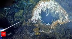 Axial Seamount Eruption Magma Eruptions Activity Juan De Fuca Ridge
