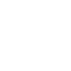 Bat Lyssavirus Virus Rabies Bats Bat Lyssavirus