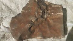 Meteorite Sotheby's Earth Nwa Martian Meteorite Nwa 16788