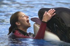 Katina Seaworld Years Peta President Tracy Reiman Whale Care